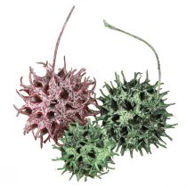 Prodotto Decorazione coni albero ambrato decorazione naturale satinata bacca verde 500g