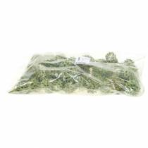 Prodotto Coni Sweetgum verde satinato 250g