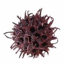 Prodotto Coni di liquidambar glassati rossi 250g