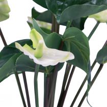 Prodotto Fiori artificiali, fiore di fenicottero, anthurium artificiale bianco 36 cm