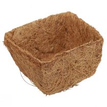 Prodotto Vasi da coltivazione vaso da fiori in fibra di cocco materiale naturale vaso per piante di cocco 11 cm 12 pezzi