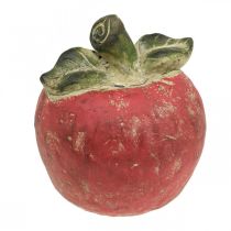 Mela decorativa, autunno, decorazione da tavola, cemento H17cm Ø15cm