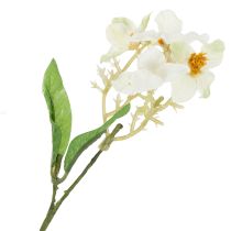 Prodotto Ramo di fiori di melo, ramo di fiori artificiali, bianco, 65 cm, 1 pezzo
