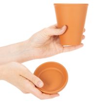 Prodotto Serbatoio d'acqua Aquasafe con fontanella per insetti, ideale per giardino, balcone e terrazzo, 12 cm, 3 pezzi.