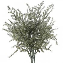 Prodotto Ramo decorativo di asparagi bianco lavato artificiale 45cm 6p