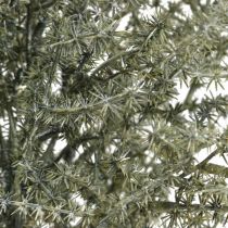 Ramo decorativo di asparagi bianco lavato artificiale 45cm 6p