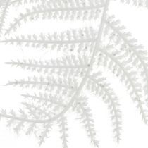 Prodotto Asparagi asparagi artificiali felce bianca glitter decorazione invernale 105 cm