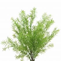 Prodotto Asparagi decorativi asparagi verdi artificiali 46 cm