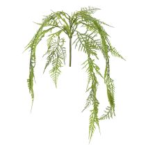 Prodotto Asparagi artificiali come pianta sospesa per la decorazione domestica a bassa manutenzione, 75 cm