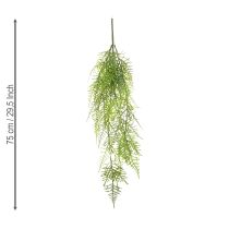 Prodotto Asparagi artificiali come pianta sospesa per la decorazione domestica a bassa manutenzione, 75 cm