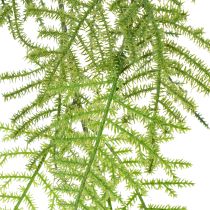 Prodotto Asparagi artificiali da appendere, ideali per una decorazione domestica a bassa manutenzione, 75 cm.