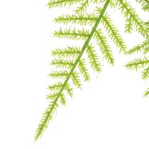 Prodotto Asparagi artificiali come pianta sospesa per la decorazione domestica a bassa manutenzione, 75 cm