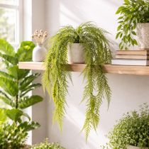 Prodotto Asparagi artificiali da appendere, ideali per una decorazione domestica a bassa manutenzione, 75 cm.