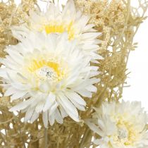 Prodotto Bouquet artificiale di aster e gypsophila in beige e bianco, perfetto per decorazioni nuziali e composizioni autunnali, 43 cm