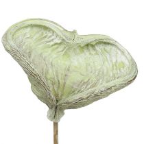Prodotto Badam su stecco decorazione naturale verde lavato bianco 25 pezzi