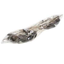 Prodotto Badam su stecco naturale 6 cm - 12 cm 23 pz