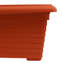 Scatola da balcone &quot;Nowa&quot; terracotta 64cm, 1p