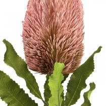 Prodotto Fiore artificiale Banksia rosa decorazione autunnale floristica commemorativa 64 cm