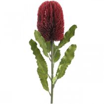 Fiore artificiale Banksia Rosso Borgogna Esotici artificiali 64 cm