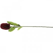 Prodotto Fiore artificiale Banksia Rosso Borgogna Esotici artificiali 64 cm