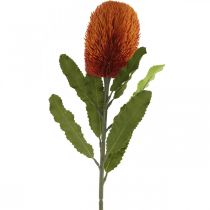 Prodotto Fiore artificiale Banksia Arancio Decorazione autunnale Fiori funerari 64 cm