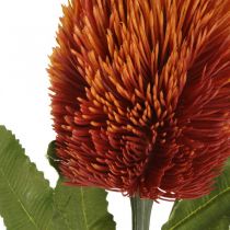 Fiore artificiale Banksia Arancio Decorazione autunnale Fiori funerari 64 cm