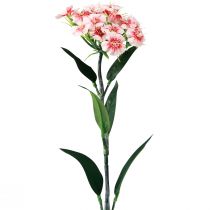 Prodotto Garofano barbuto Garofano artificiale Rosa pesca 52 cm