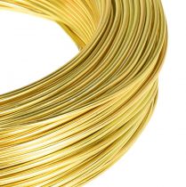 Prodotto Filo artigianale filo di alluminio dorato per artigianato Ø2mm L60m