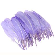 Prodotto Piume artigianali tinte in piume d'oca viola 20 g x 2 pezzi