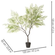 Prodotto Albero artificiale con foglie delicate, 120 cm