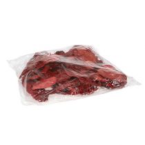 Prodotto Spugna per albero rossa 1kg