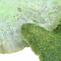 Prodotto Spugna per albero verde bianca lavata 1kg