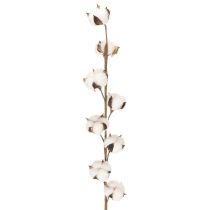 Prodotto Ramo artificiale di cotone con 8 fiori veri, 78 cm