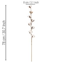 Prodotto Ramo artificiale di cotone con 8 fiori veri, 78 cm