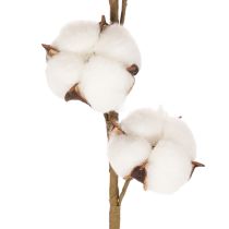 Prodotto Ramo artificiale di cotone con 8 fiori veri, 78 cm