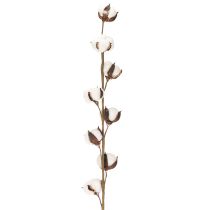 Prodotto Ramo artificiale di cotone con 8 fiori veri, 78 cm