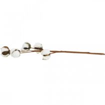 Prodotto Ramo decorativo in cotone Ramo decorativo in vero cotone 5 teste 50 cm