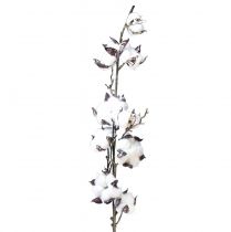 Prodotto Ramo di cotone fiori di cotone artificiale marrone bianco L95 cm