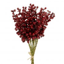 Prodotto Raccogli bacche rosso 23 cm 12 pz