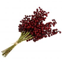Prodotto Raccogli bacche rosse 23 cm 12 pezzi