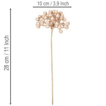 Prodotto Ramo di bacche artificiali, decorazione color champagne, 28 cm, 3 pezzi
