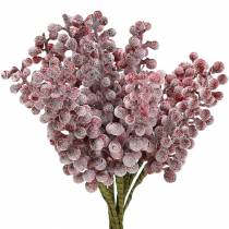 Berry pick rosso, ghiacciato 21cm 12p