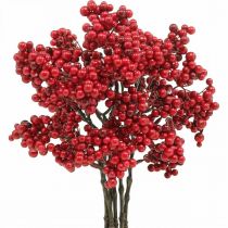 Ramo decorativo con bacche rosse ramo di bacche decorazione autunnale 26 cm 6 pezzi