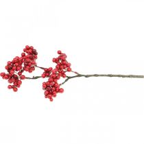 Prodotto Ramo decorativo con bacche rosse ramo di bacche decorazione autunnale 26 cm 6 pezzi