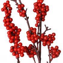 Prodotto Ramo di bacca rosso ramo decorativo bacche rosse artificiali 115 cm