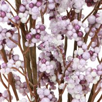 Prodotto Ramo di bacche Ramo di Natale viola bianco gelo L60cm 2 pz