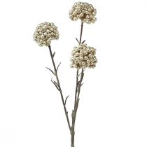 Prodotto Ramo decorativo ramo di bacche artificiali champagne 46 cm