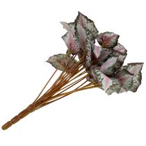 Prodotto Cespuglio di begonia artificiale verde, viola 34 cm