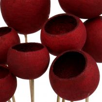 Prodotto Bell Cup Mix su stecco rosso scuro 15pz