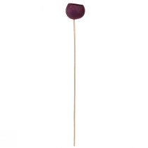 Prodotto Campana su stelo decorazione secca per funerale fiorista vino rosso 15 pezzi